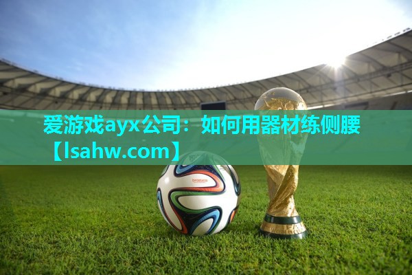 爱游戏ayx公司：如何用器材练侧腰