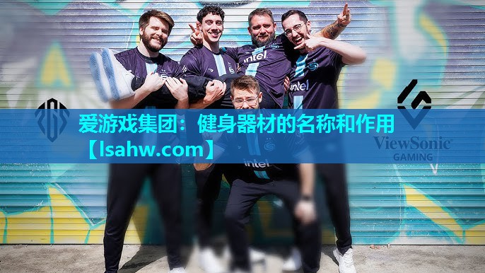 爱游戏集团：健身器材的名称和作用