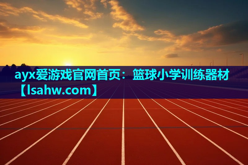 ayx爱游戏官网首页：篮球小学训练器材