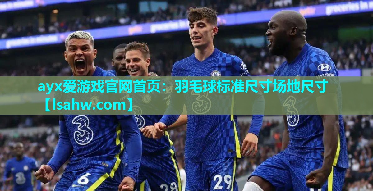 ayx爱游戏官网首页：羽毛球标准尺寸场地尺寸