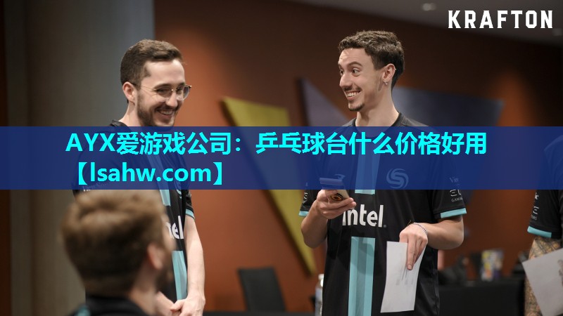 AYX爱游戏公司：乒乓球台什么价格好用