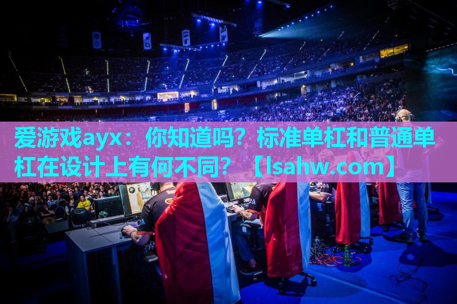 爱游戏ayx：你知道吗？标准单杠和普通单杠在设计上有何不同？