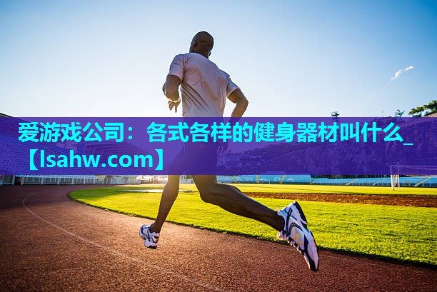 爱游戏公司：各式各样的健身器材叫什么_