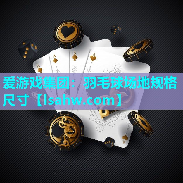 爱游戏集团：羽毛球场地规格尺寸