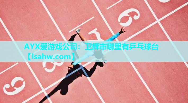 卫辉市哪里有乒乓球台 卫辉市哪里有乒乓球台