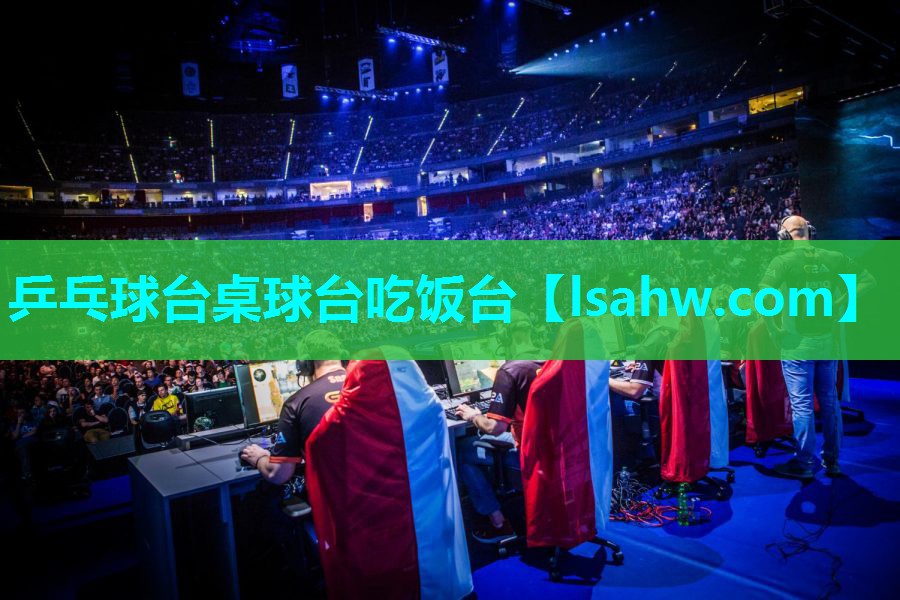 乒乓球台桌球台吃饭台 乒乓球台桌球台吃饭台