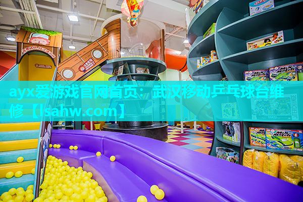 武汉移动乒乓球台维修 武汉移动乒乓球台维修