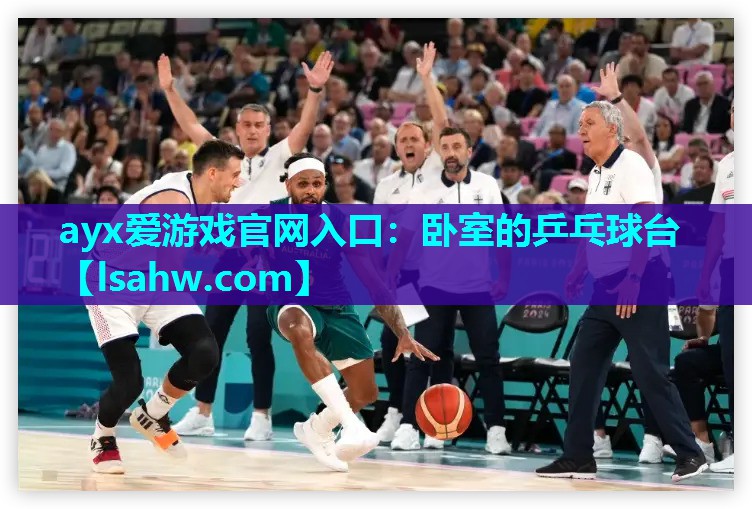 卧室的乒乓球台 卧室的乒乓球台