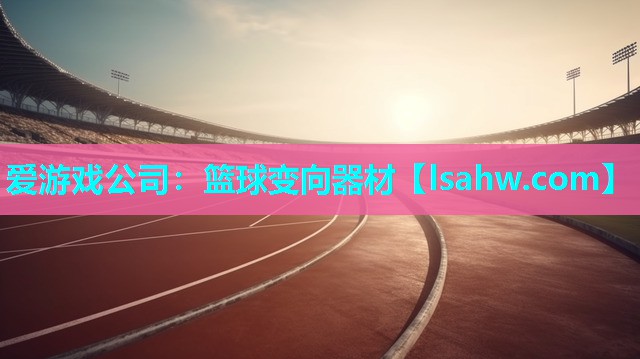 篮球变向器材 篮球变向器材