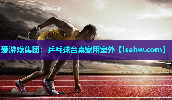 乒乓球台桌家用室外 乒乓球台桌家用室外