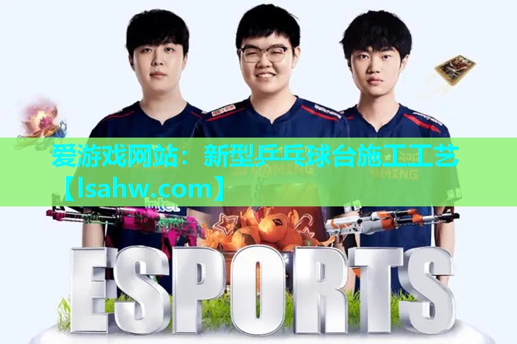 新型乒乓球台施工工艺 新型乒乓球台施工工艺