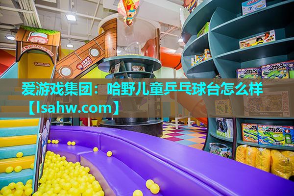 哈野儿童乒乓球台怎么样 哈野儿童乒乓球台怎么样