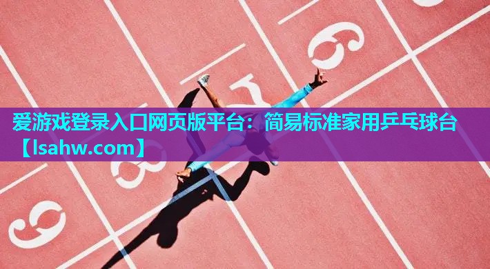 简易标准家用乒乓球台 简易标准家用乒乓球台