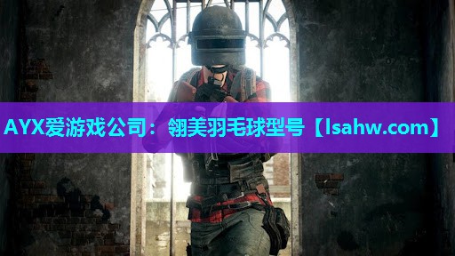 翎美羽毛球型号 翎美羽毛球型号