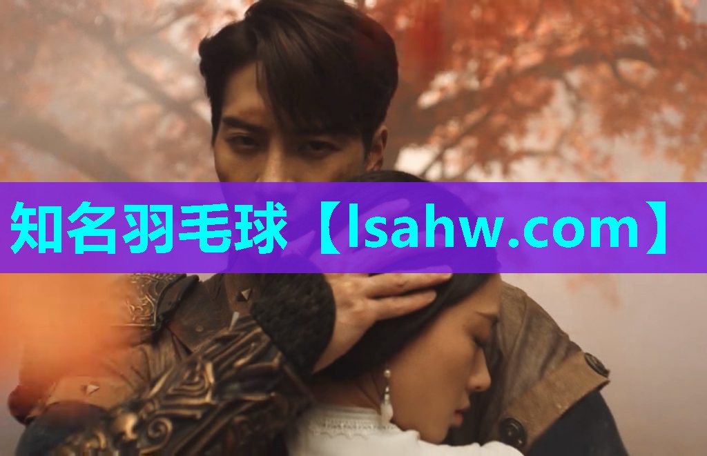 知名羽毛球 知名羽毛球