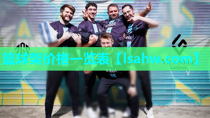 篮球架价格一览表 篮球架价格一览表