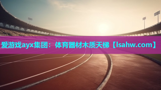 体育器材木质天梯 体育器材木质天梯