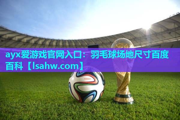 羽毛球场地尺寸百度百科 羽毛球场地尺寸百度百科