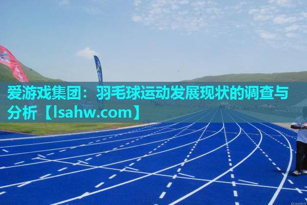 羽毛球运动发展现状的调查与分析 羽毛球运动发展现状的调查与分析
