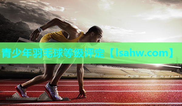 青少年羽毛球等级评定 青少年羽毛球等级评定