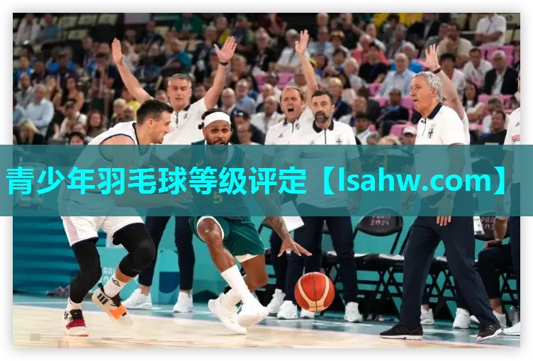青少年羽毛球等级评定 青少年羽毛球等级评定