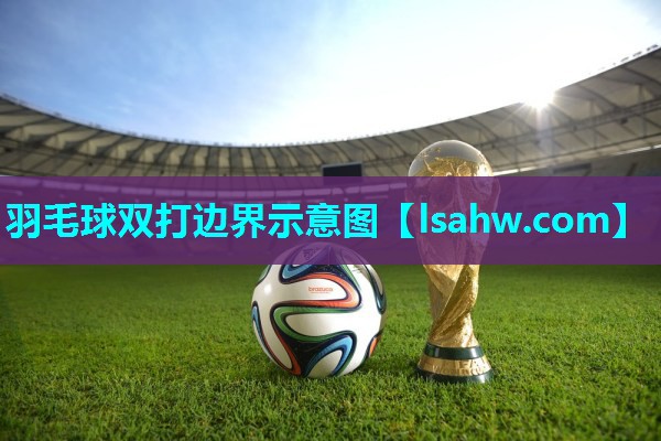 羽毛球双打边界示意图 羽毛球双打边界示意图