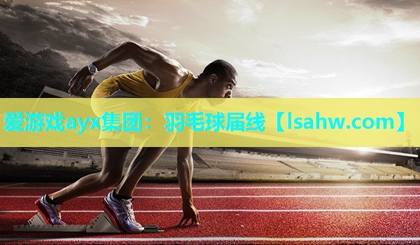 羽毛球届线 羽毛球届线