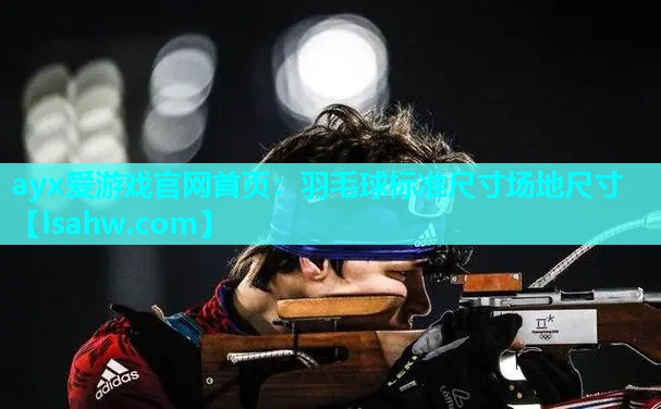 羽毛球标准尺寸场地尺寸 羽毛球标准尺寸场地尺寸