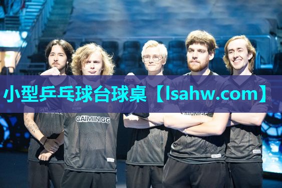 小型乒乓球台球桌 小型乒乓球台球桌