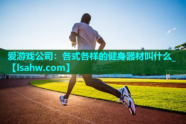 各式各样的健身器材叫什么_