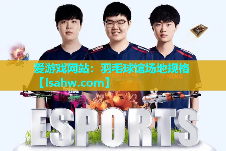 羽毛球馆场地规格 羽毛球馆场地规格