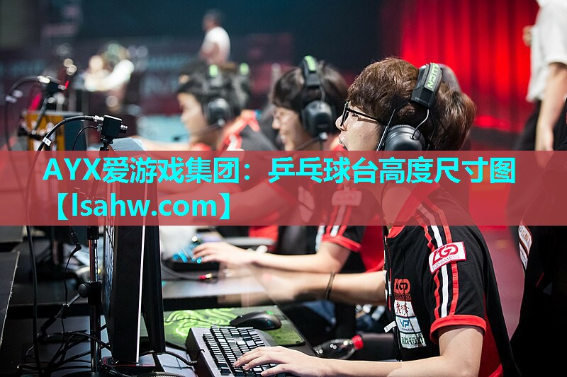 乒乓球台高度尺寸图 乒乓球台高度尺寸图