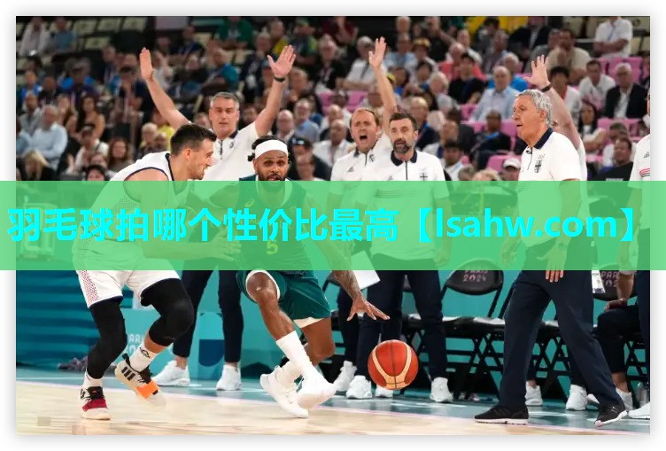 羽毛球拍哪个性价比最高 羽毛球拍哪个性价比最高