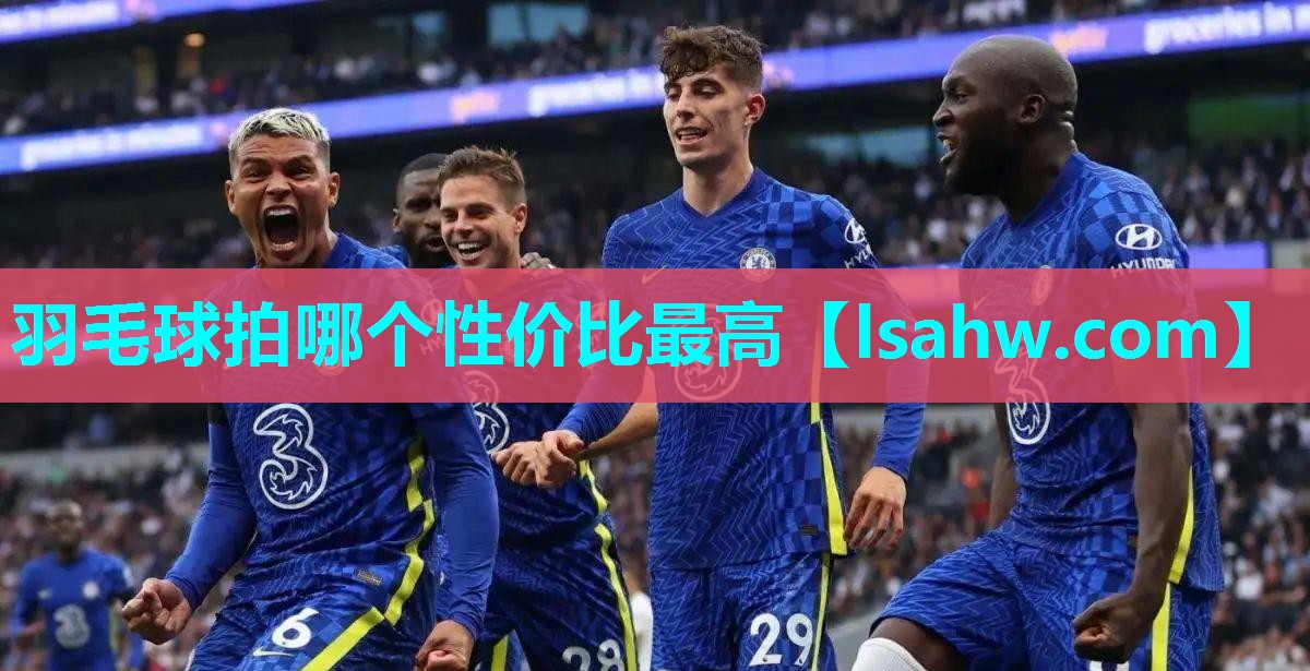羽毛球拍哪个性价比最高 羽毛球拍哪个性价比最高