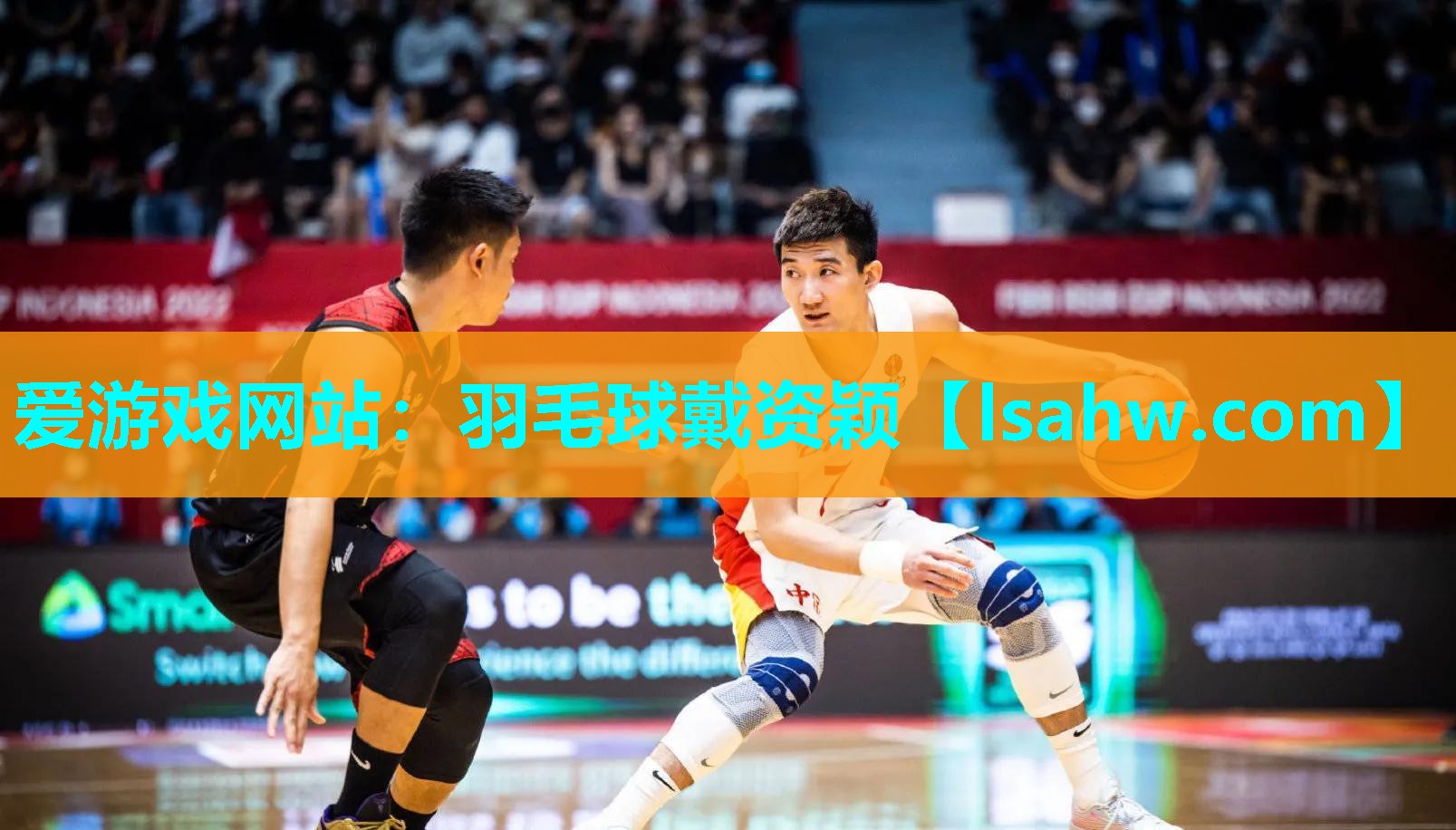羽毛球戴资颖 羽毛球戴资颖